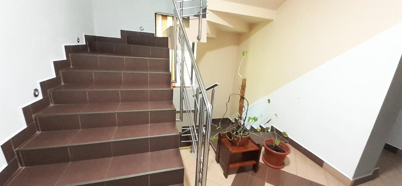 Pensiunea Tora Vatra Dornei Exterior foto
