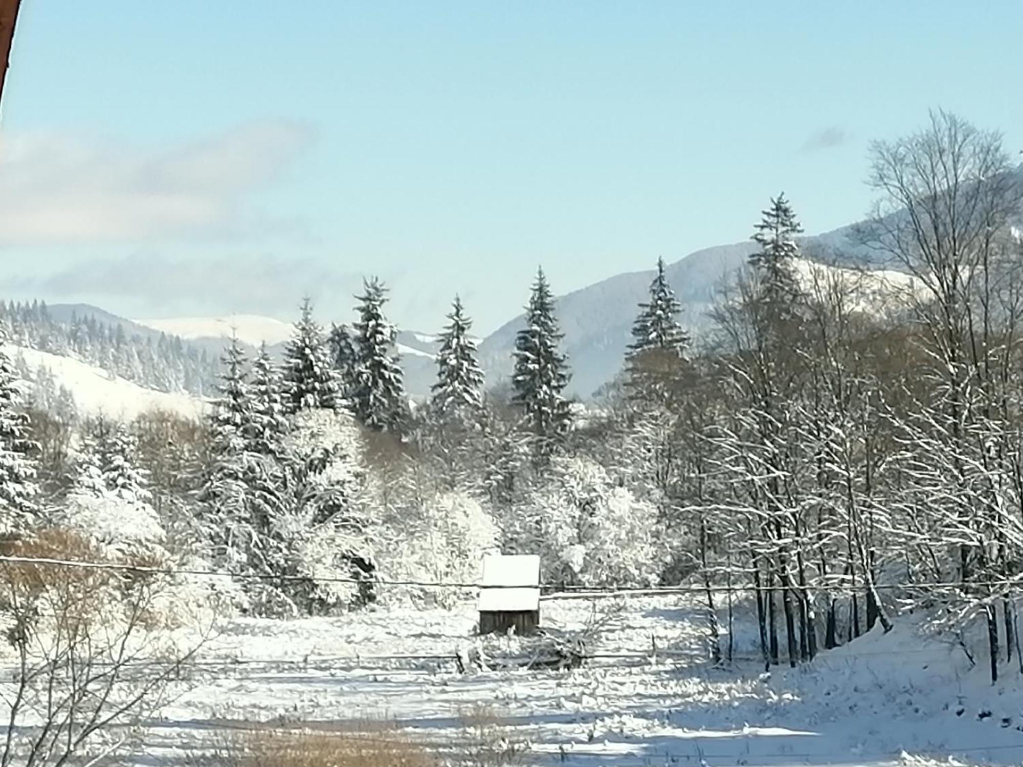 Pensiunea Tora Vatra Dornei Exterior foto