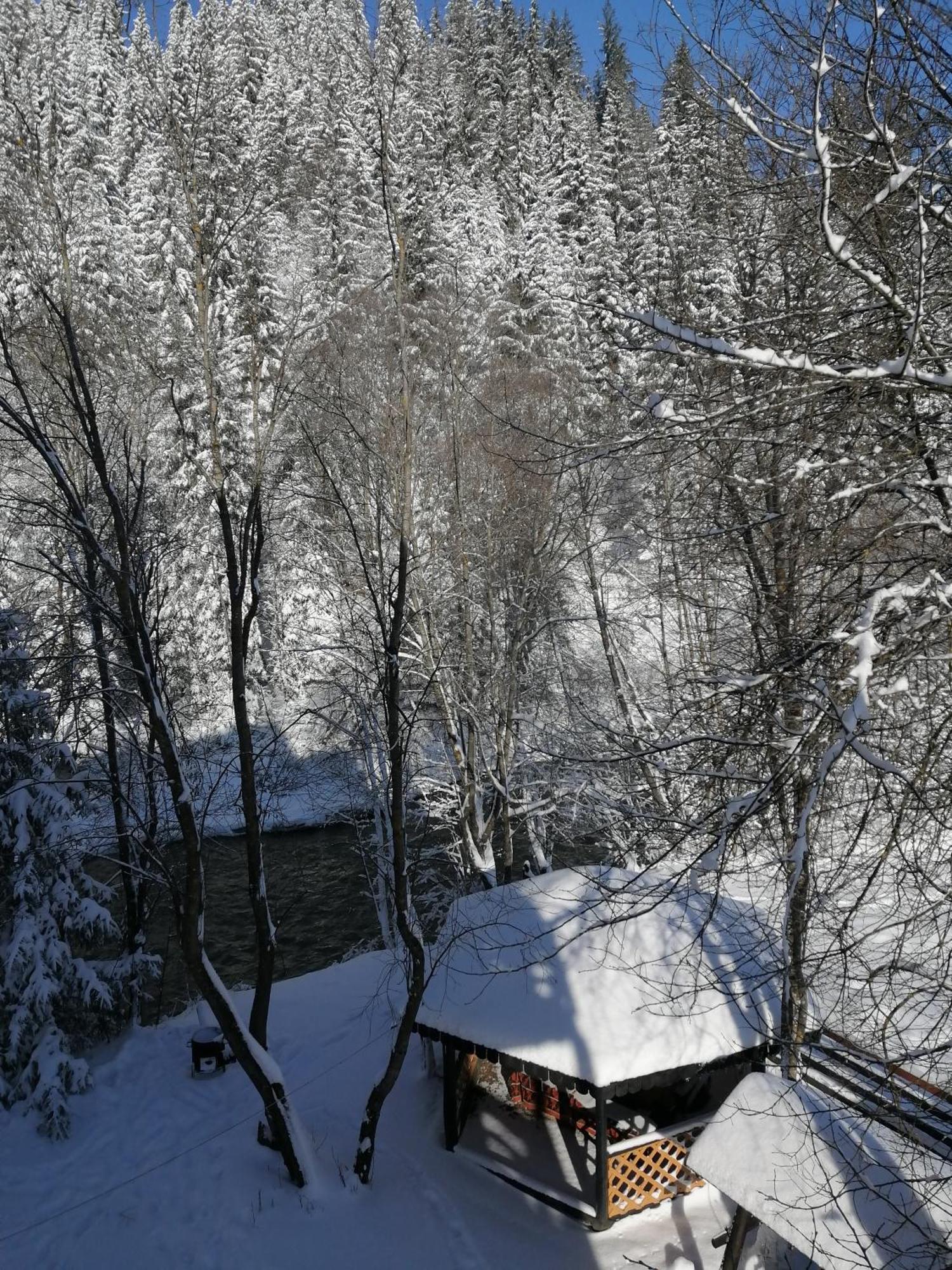 Pensiunea Tora Vatra Dornei Exterior foto