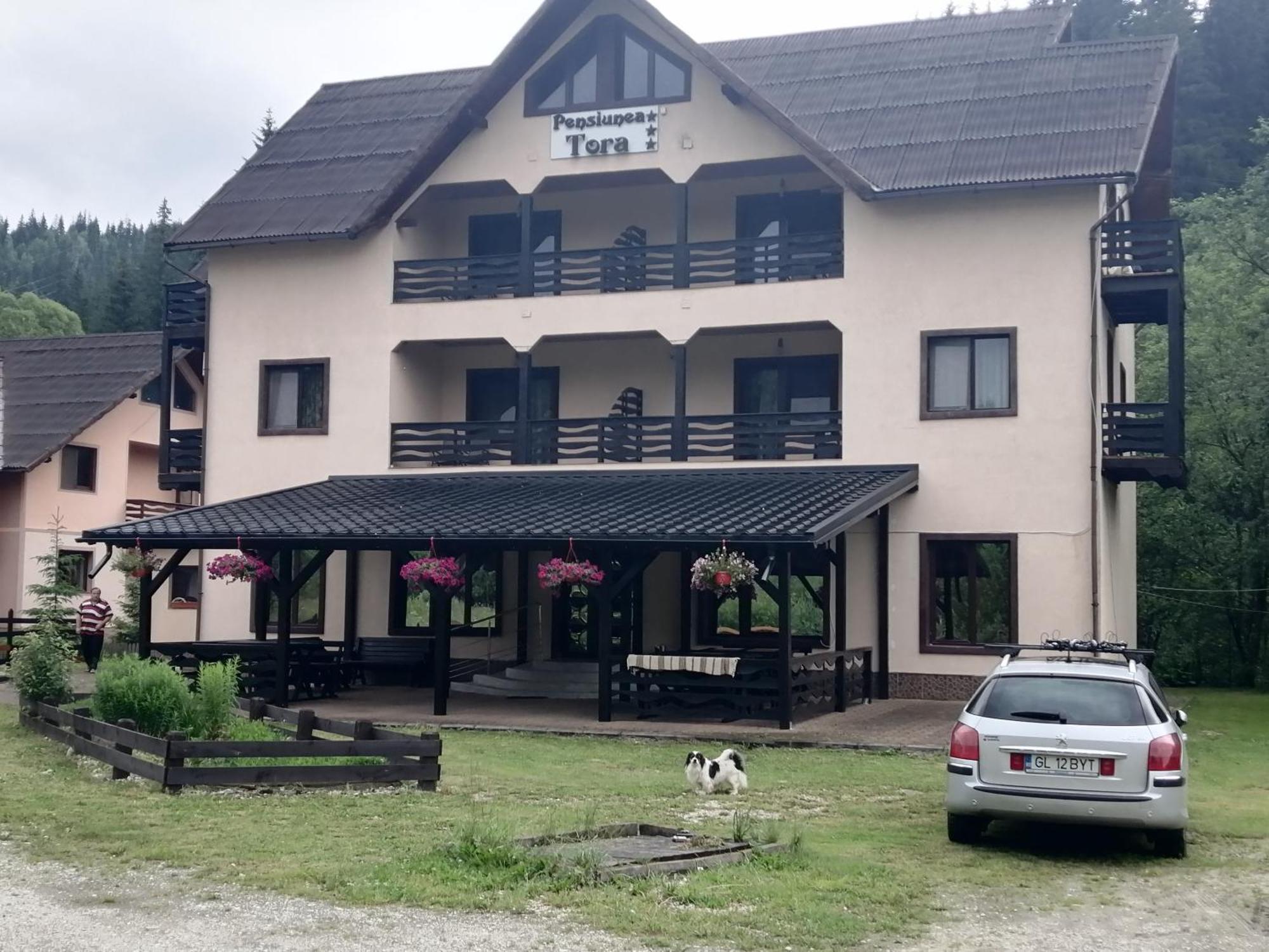 Pensiunea Tora Vatra Dornei Exterior foto