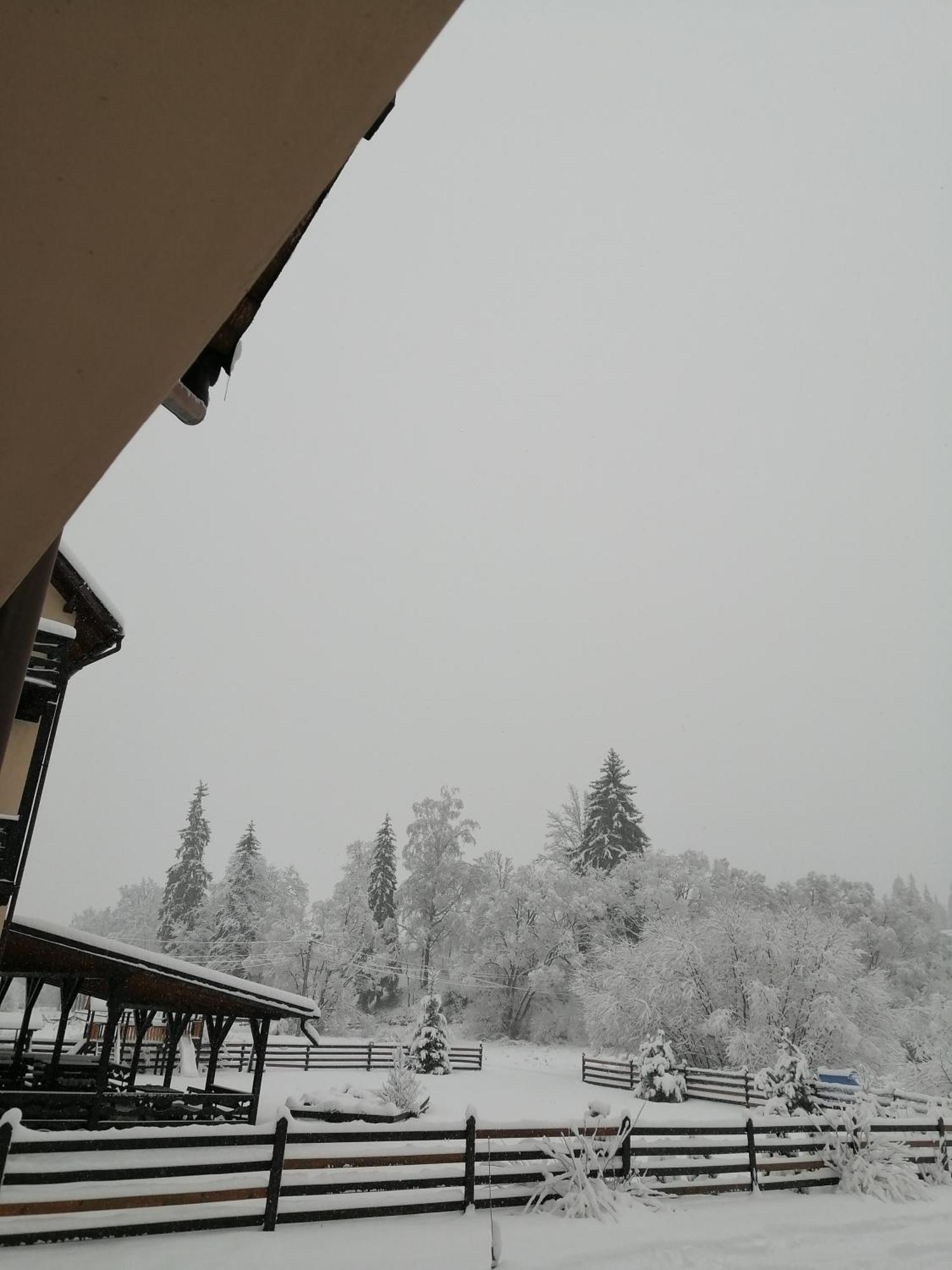 Pensiunea Tora Vatra Dornei Exterior foto